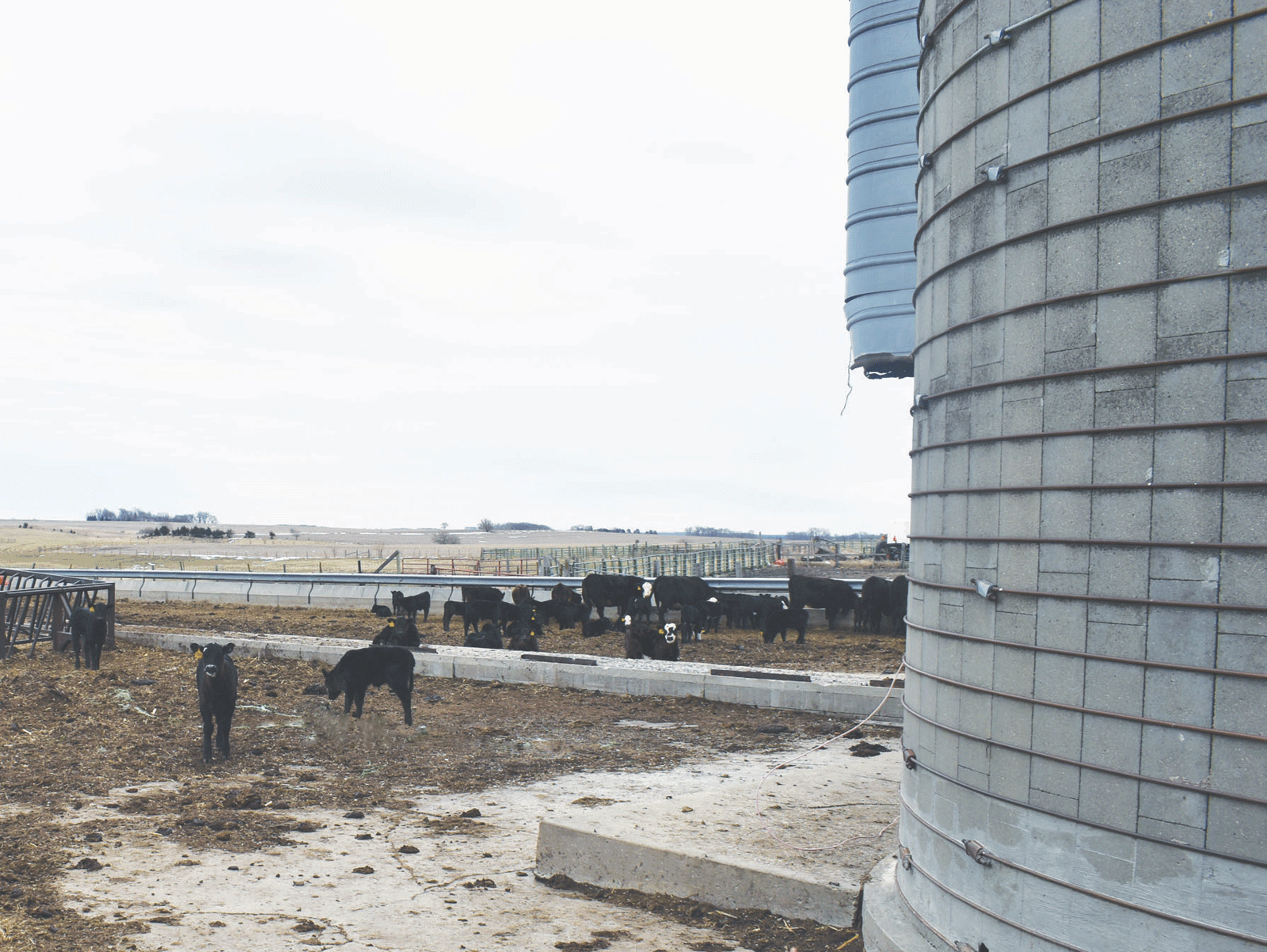 Silo-City-(36)-WORKEDWEB.gif